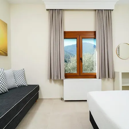Victoria Suites 公寓式酒店 *